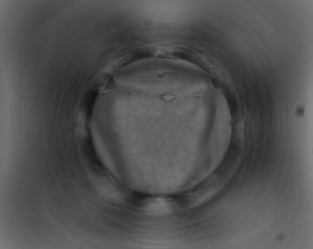 X0000101110316200807171942