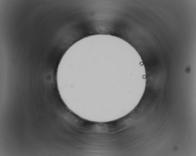 X0000101110317200807171942