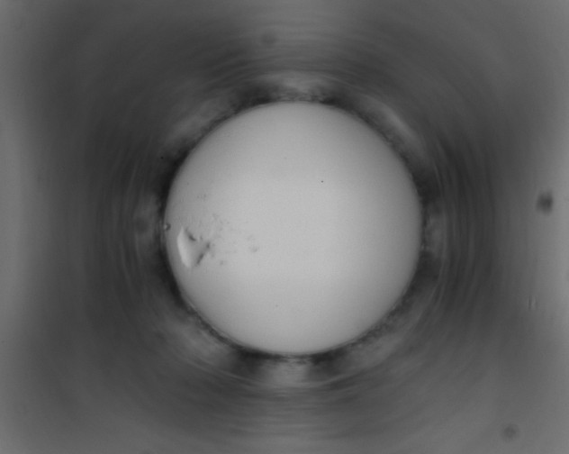 X0000101110318200807171942