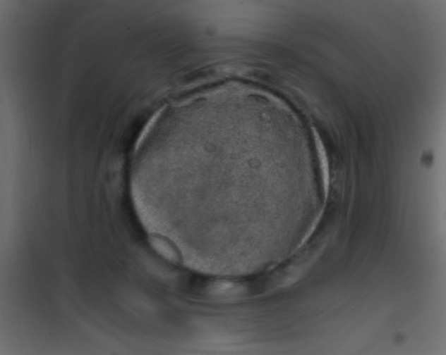 X0000101110319200807171942