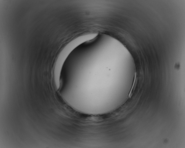 X0000101110320200807171942