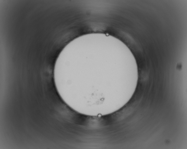 X0000101110321200807171942