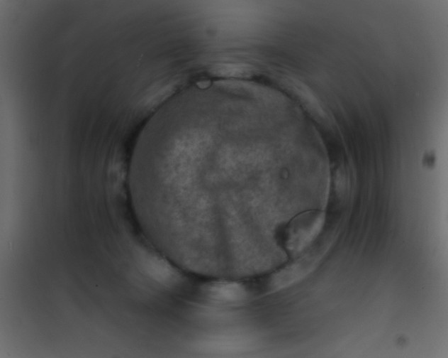 X0000101110322200807171942