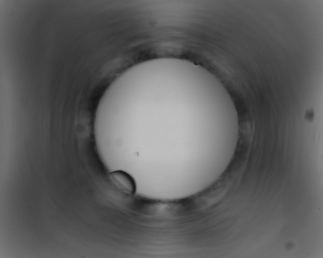 X0000101110323200807171942