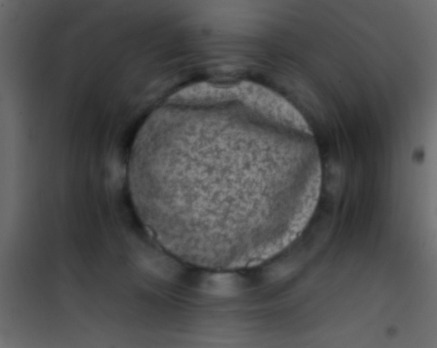 X0000101110324200807171942