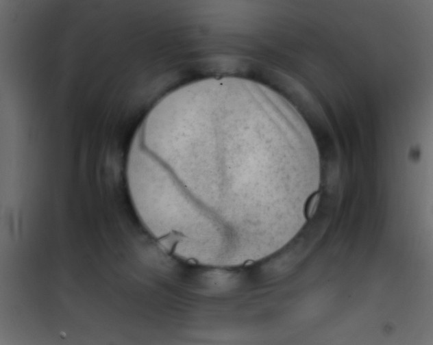 X0000101110326200807171942