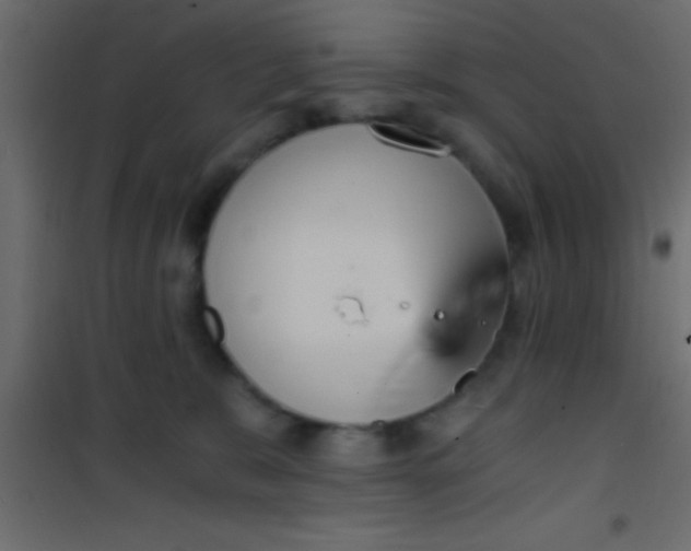 X0000101110327200807171942