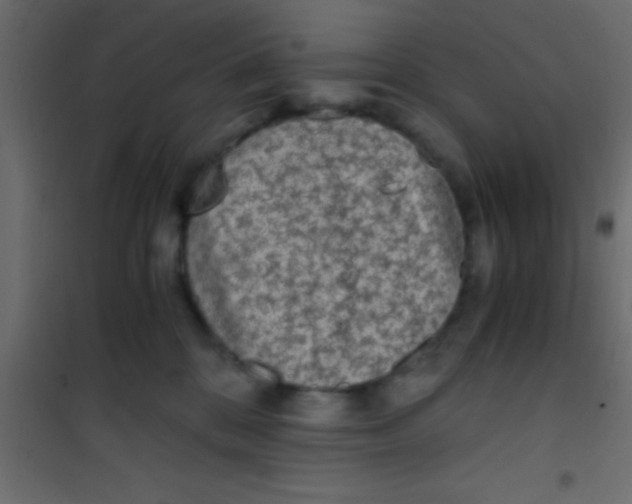 X0000101110328200807171942