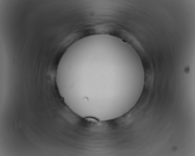 X0000101110329200807171942