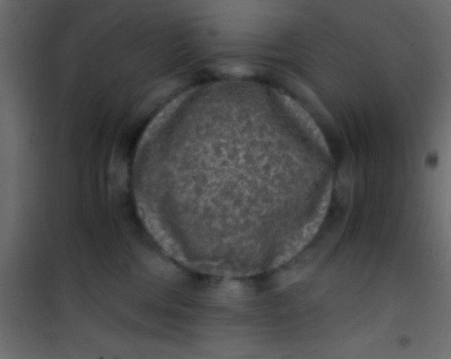 X0000101110330200807171942