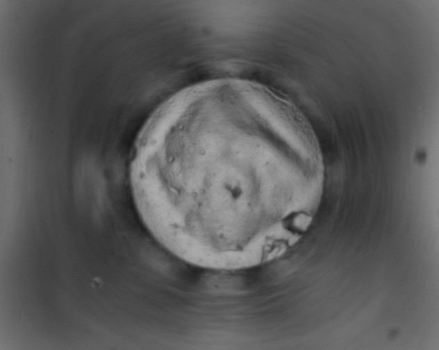 X0000101110331200807171942