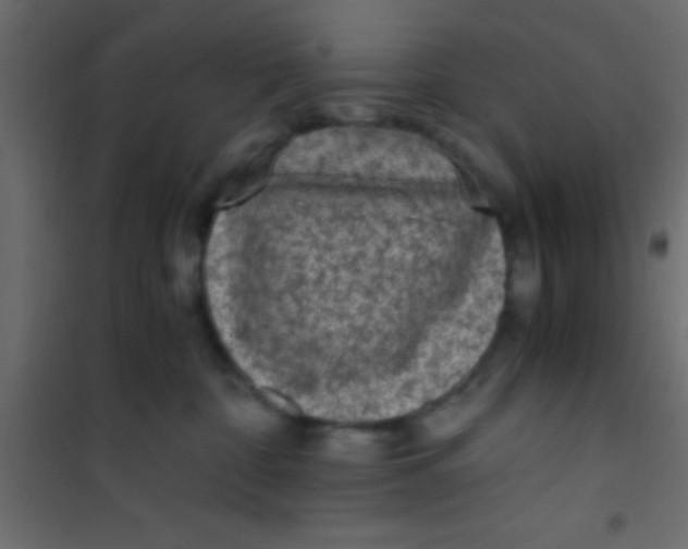 X0000101110332200807171942