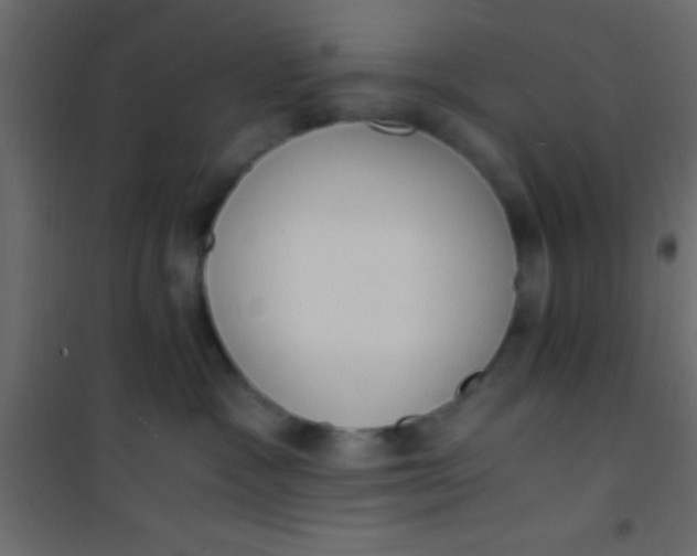 X0000101110333200807171942