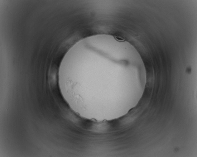 X0000101110334200807171942