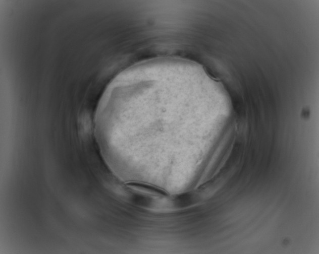 X0000101110335200807171942