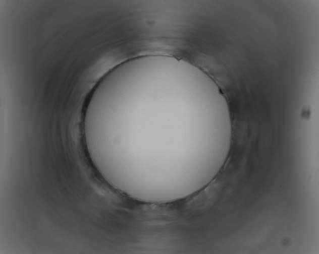 X0000101110338200807171941