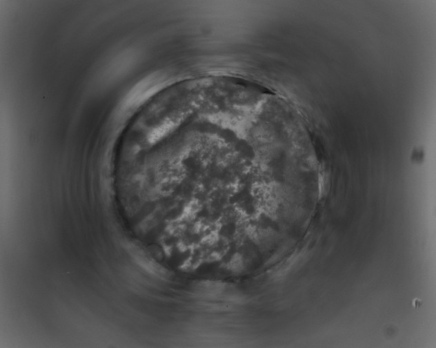 X0000101110339200807171941