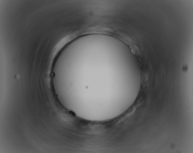 X0000101110340200807171941