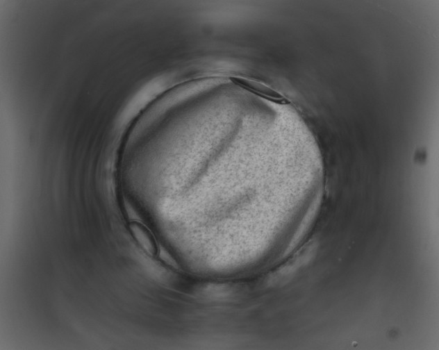X0000101110341200807171941