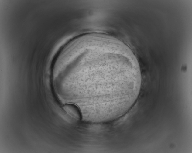X0000101110342200807171941