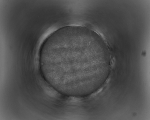 X0000101110343200807171941