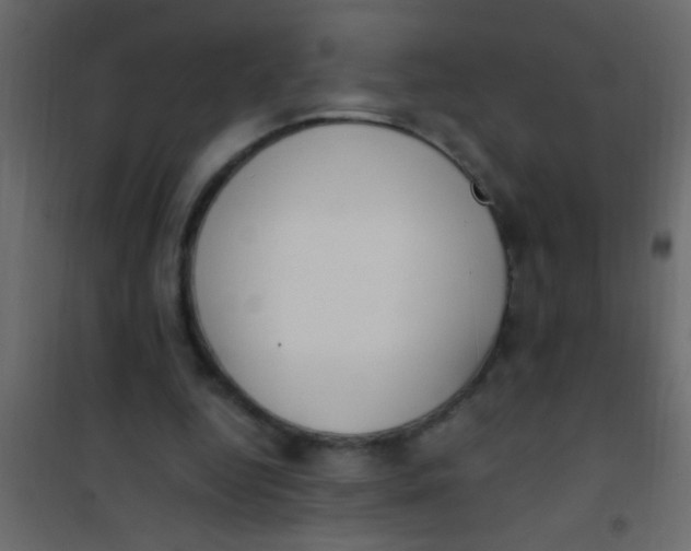 X0000101110344200807171941