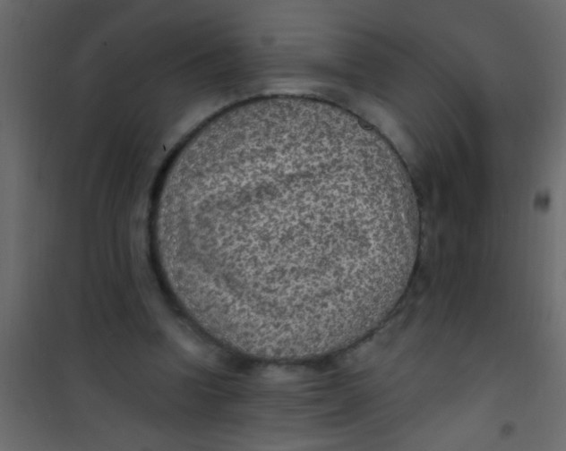X0000101110346200807171941