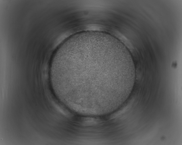 X0000101110347200807171941