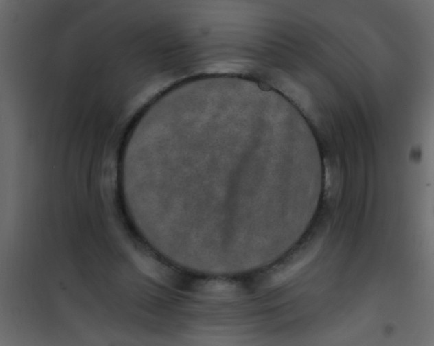 X0000101110348200807171941