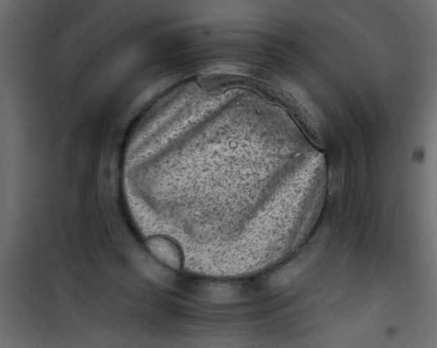 X0000101110349200807171941