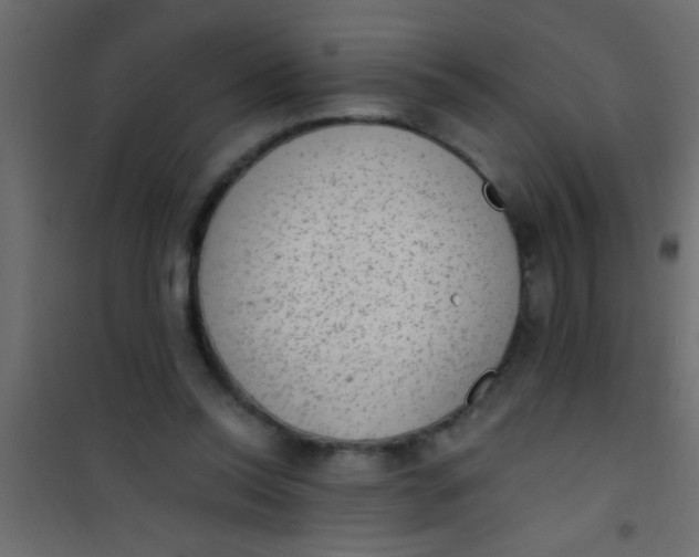 X0000101110350200807171942