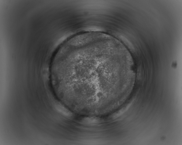 X0000101110351200807171942