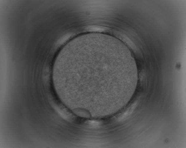 X0000101110352200807171942