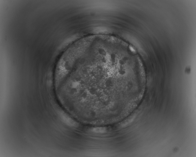 X0000101110353200807171942