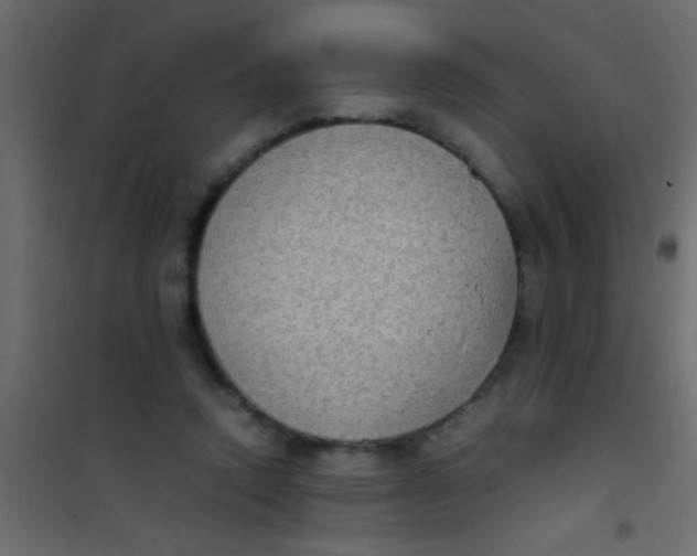 X0000101110354200807171942