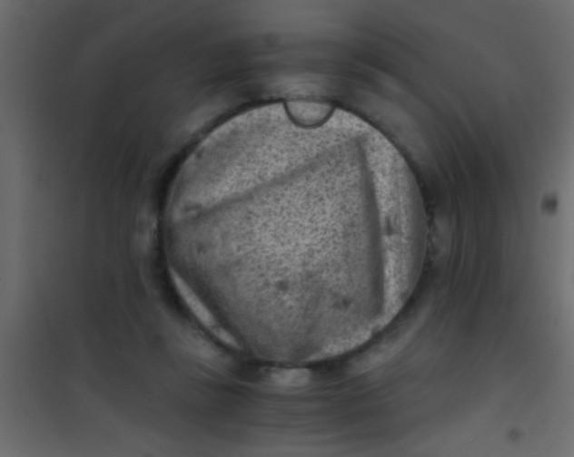 X0000101110355200807171942