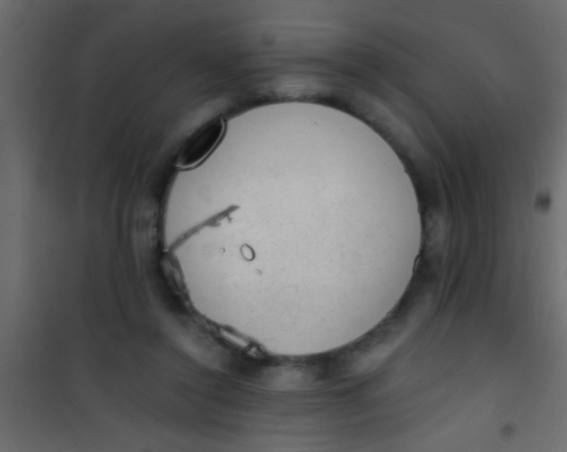 X0000101110356200807171942