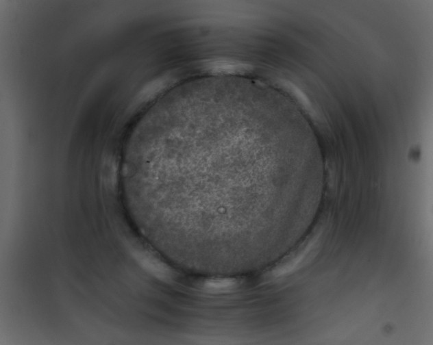 X0000101110357200807171942