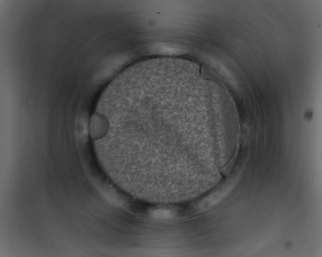 X0000101110358200807171942