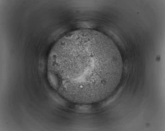 X0000101110359200807171942