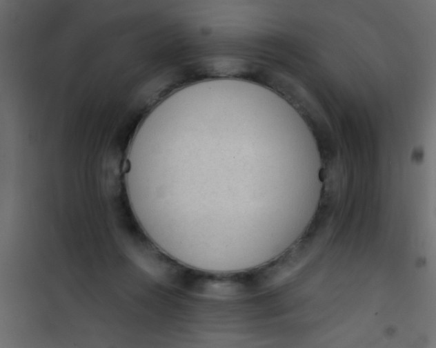 X0000101110360200807171942