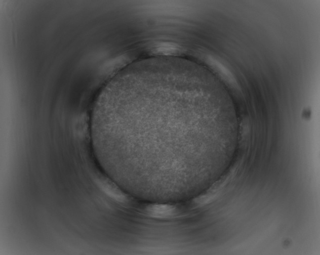 X0000101110361200807171942