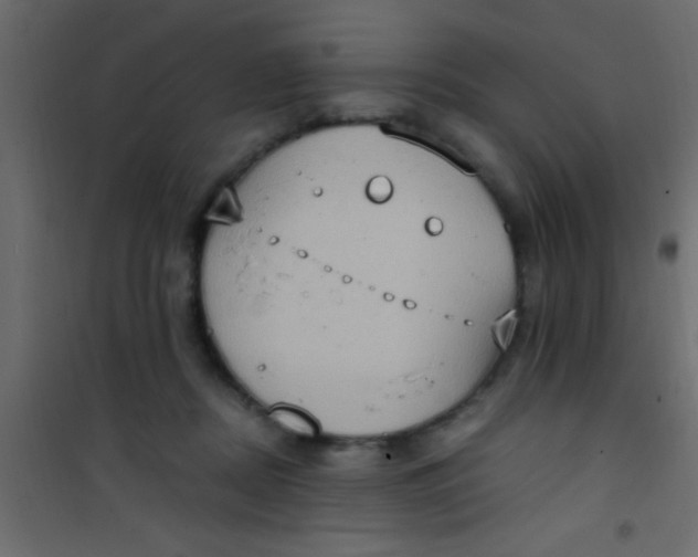 X0000101110362200807171942