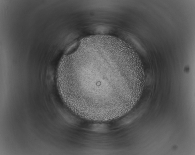 X0000101110363200807171942