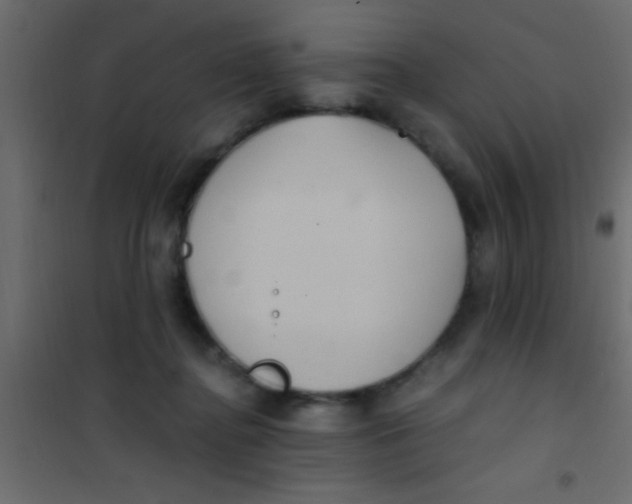 X0000101110364200807171942