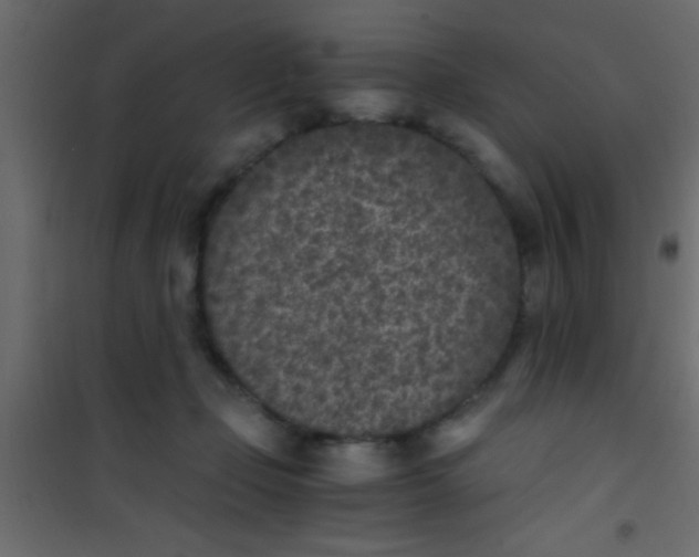 X0000101110365200807171942