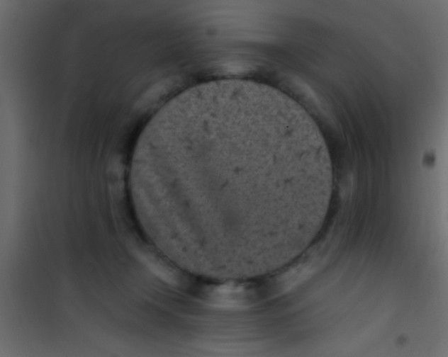 X0000101110366200807171942