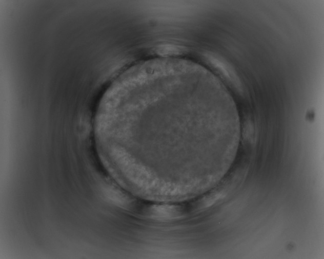 X0000101110367200807171942