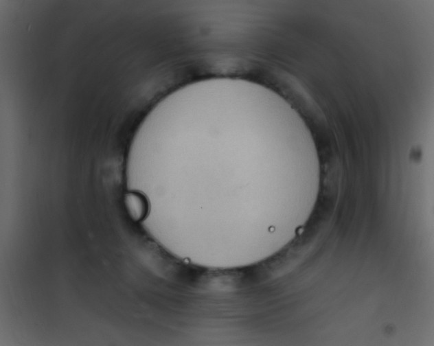 X0000101110368200807171942