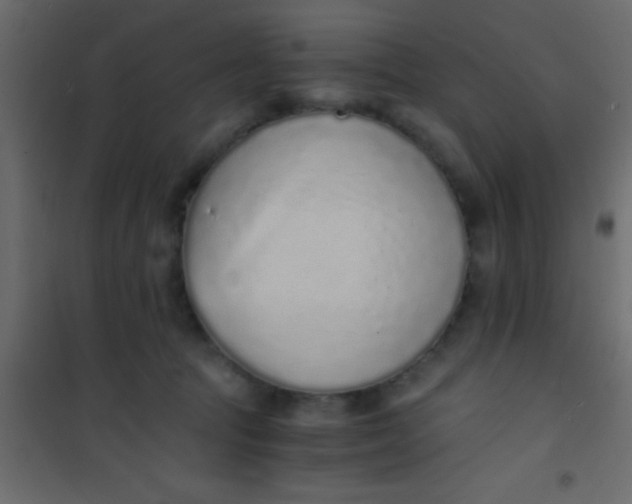 X0000101110369200807171942